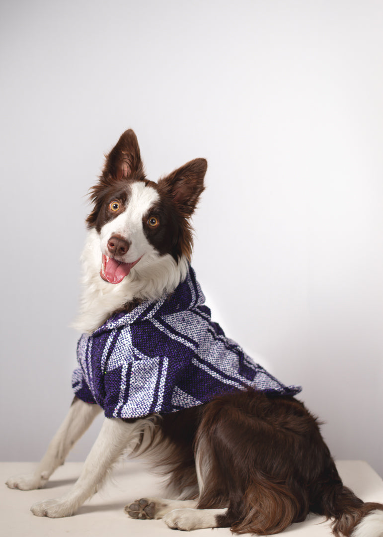 Panda Pets - Blue Artisanal Dog Jacket